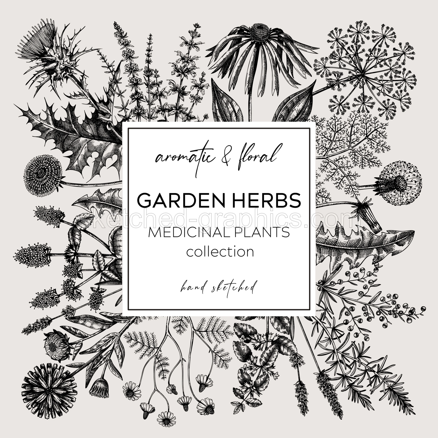 Vintage herbs wreath. Sketched aromatic plants border. Botanical design. Herbal tea ingredient sketches. Hand drawn flowers banners for cosmetics, perfumery, herbal medicine. Floral card template Illustration